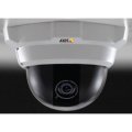 P3301-V Fixed Dome Network Camera (10-Pack, No Power Supply, H.264)