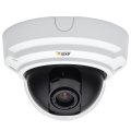 P3344-V Fixed Dome Network Camera (10-Pack/Bulk, 12mm Lens, Clear)