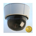 P5532-E PTZ Dome Network Camera (Outdoor Ready)