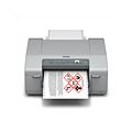 C831 ColorWorks Inkjet Label Printer (8 Inch, Color Label Printer, USB and Ethernet, DHCP Enabled)